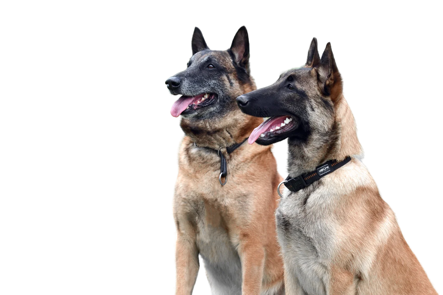 Galerie DKBS DKBS Galerie DKBS DKBS