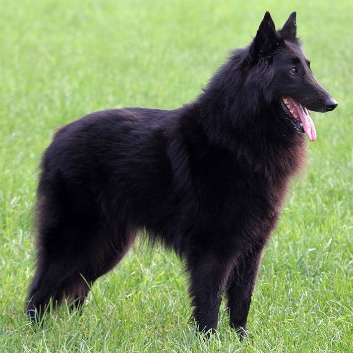 Galerie DKBS DKBS Galerie DKBS DKBS