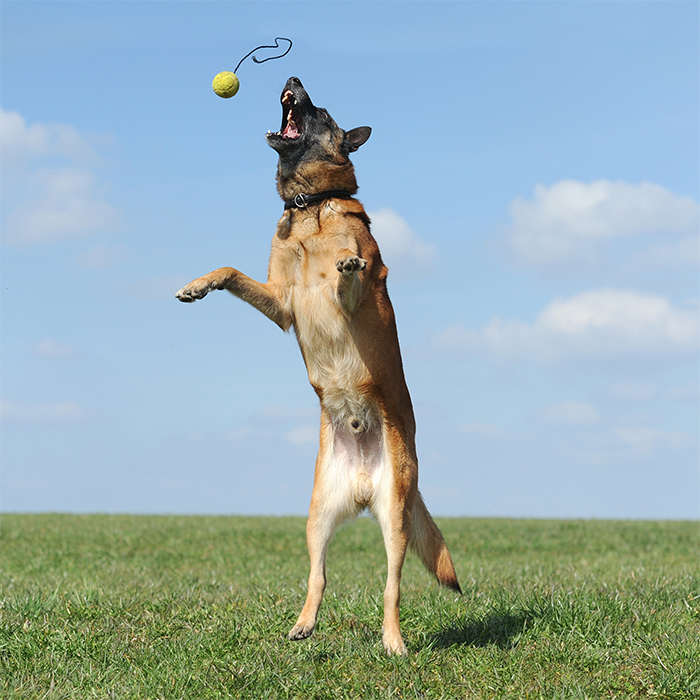 Galerie DKBS DKBS Galerie DKBS DKBS