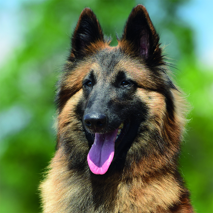 Galerie DKBS DKBS Galerie DKBS DKBS