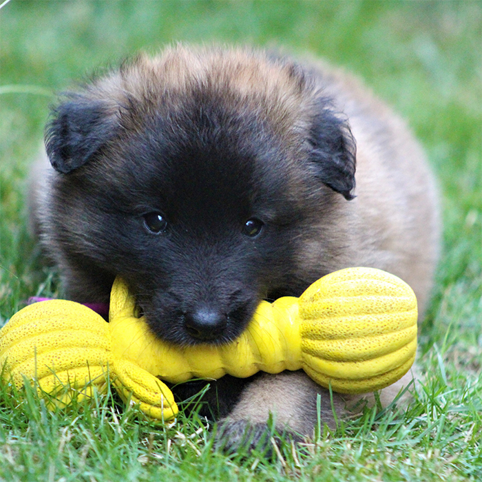 Galerie DKBS DKBS Galerie DKBS DKBS