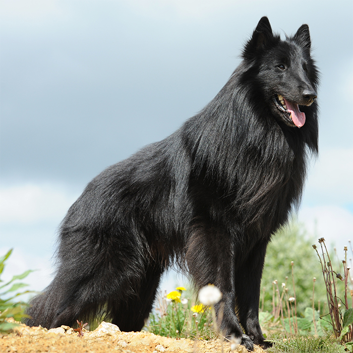 Galerie DKBS DKBS Galerie DKBS DKBS