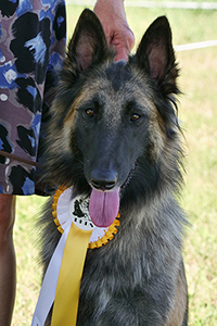 Dala vom Leonberger Mühlbach