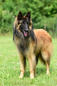 Cahjano Norès von der Waldhöfer Höhe Cahjano Norès von der Waldhöfer Höhe