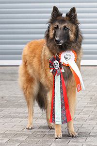 Bhavani von der kleinen Butze