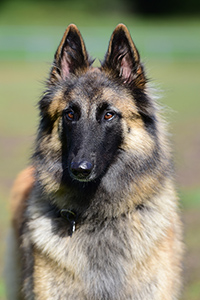 Giulia von der Kleinen Butze