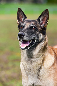 Kathy vom Laufbachtal 