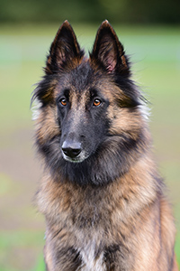 Sensitiv Souls Anouk