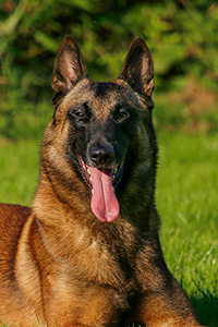 TVB dei Baci di Dama