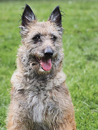 Coco Ritter von Falkenberg Coco Ritter von Falkenberg